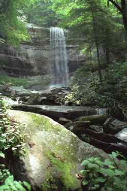 Waterfall in the Great Smokey Mountains